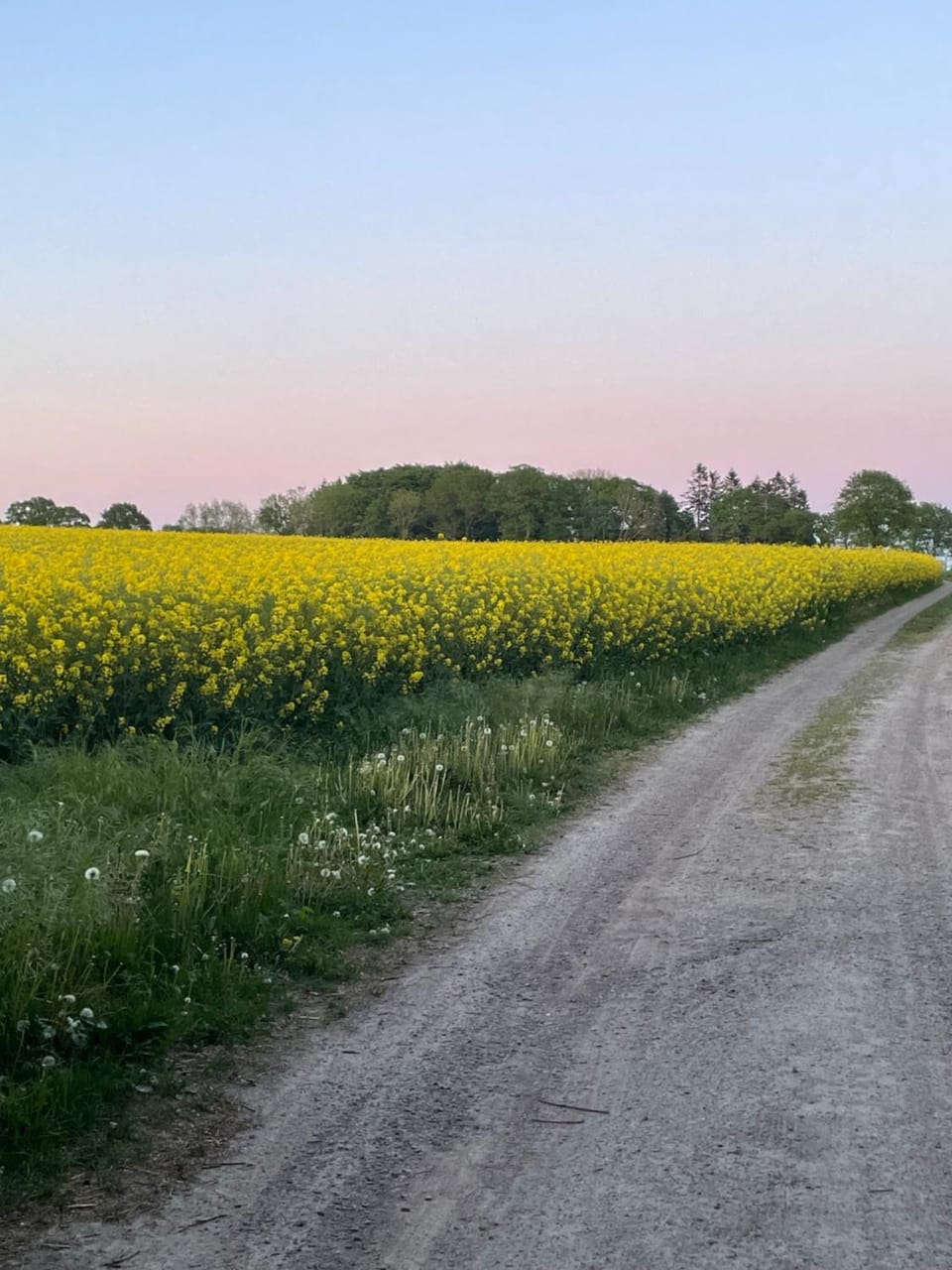 Råådalen Gård & Trädgård Nature lodge in Skåne County