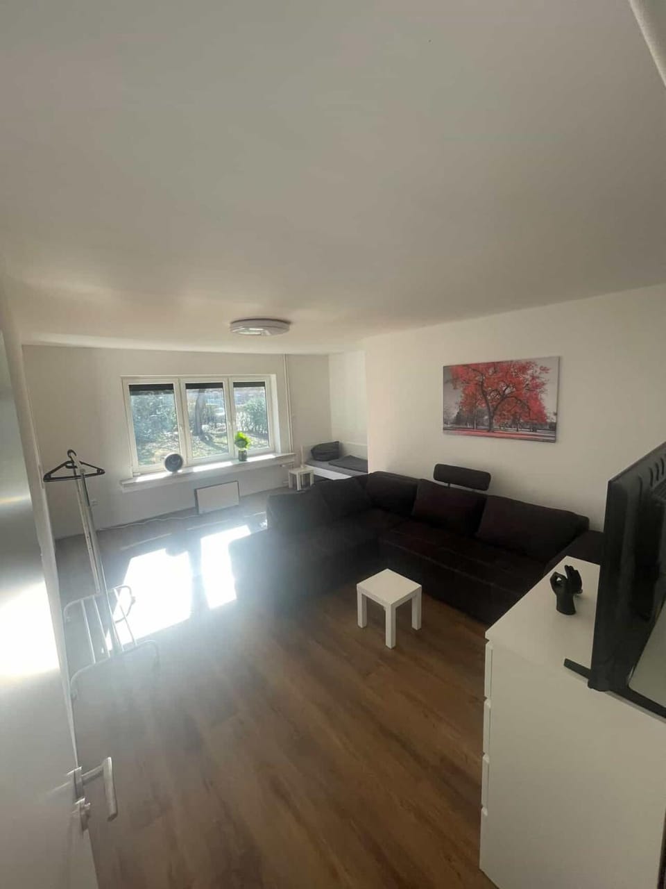Living room, Photo of the whole room, Bedroom