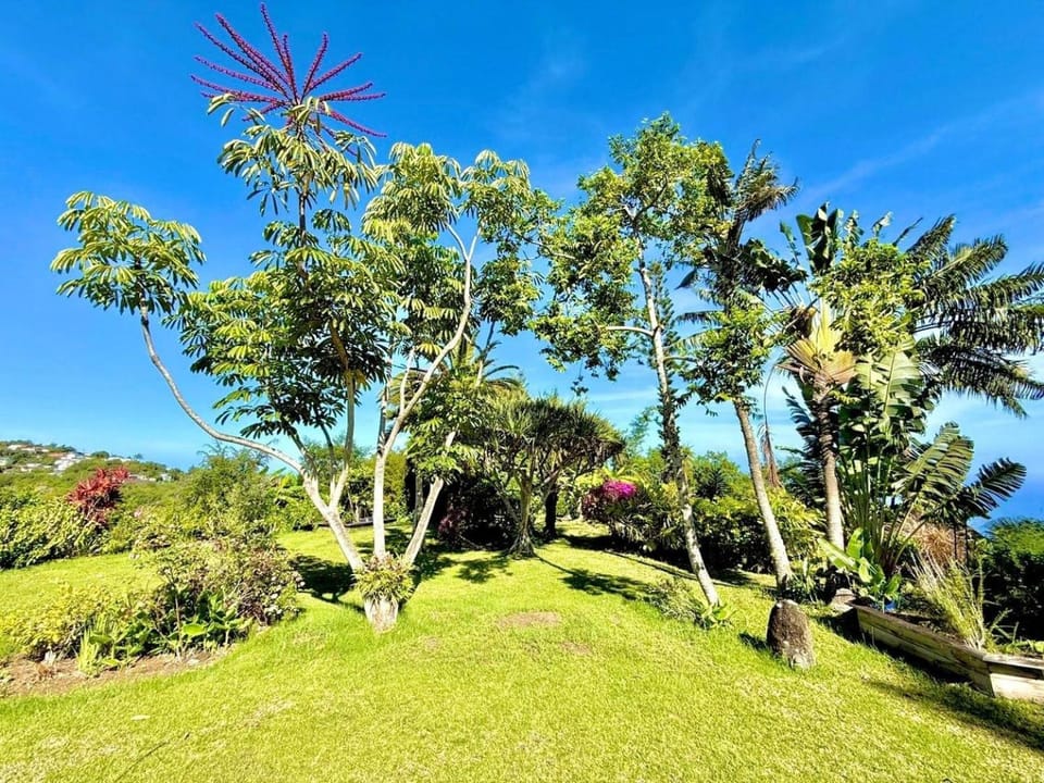 Villa Connie, Piscine et Vue Océan Villa in Réunion
