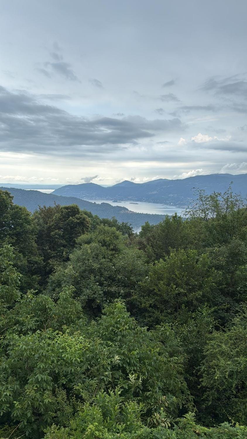 Day, Natural landscape, Garden, Mountain view