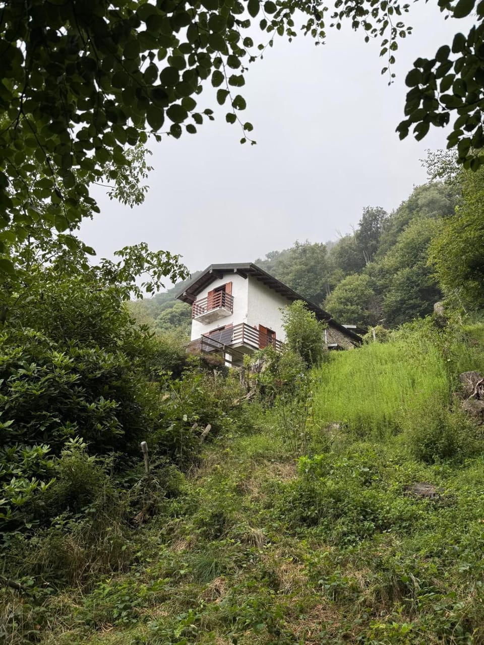 Property building, Garden