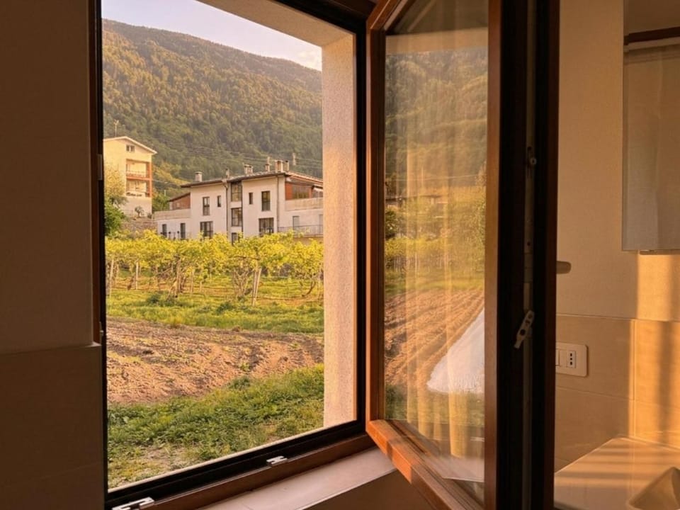 View (from property/room), View (from property/room)