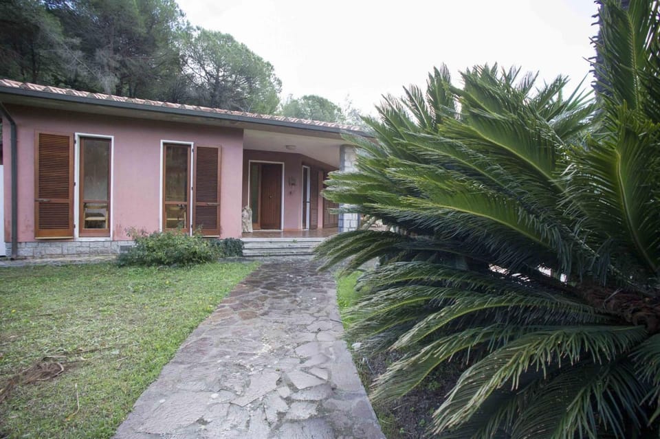 Property building, Garden view