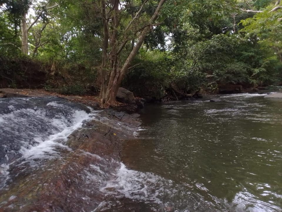 Angammedilla resort Resort in Sri Lanka