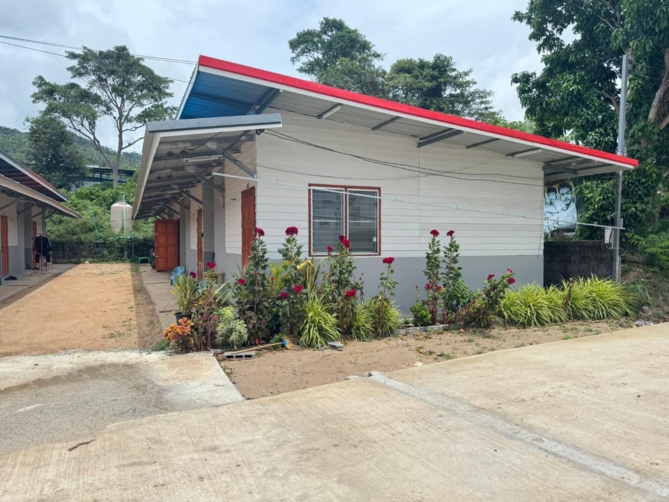 Property building, Day, Neighbourhood, Garden, Garden view, Street view