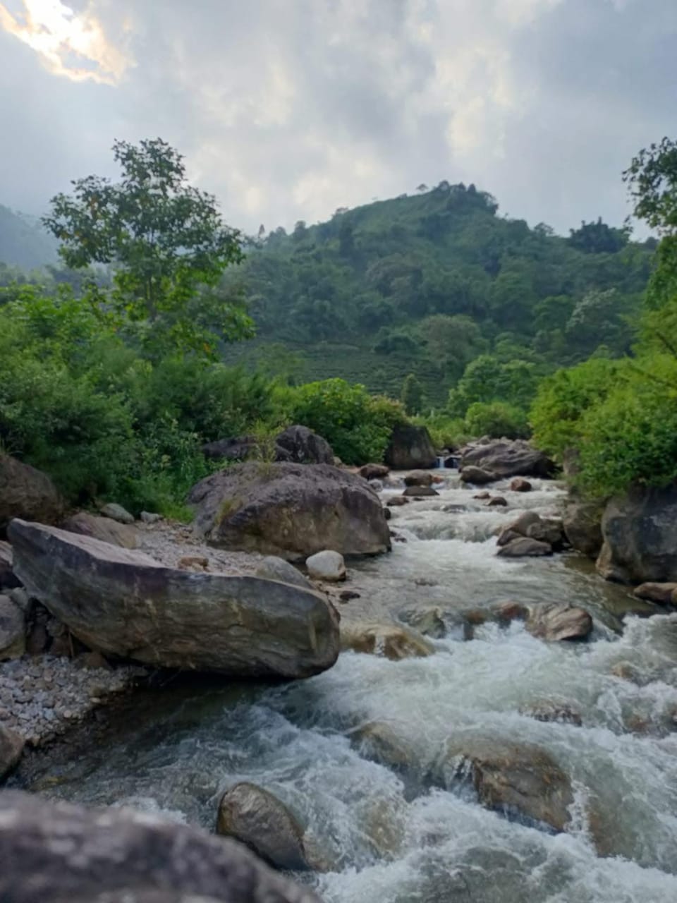 Damphu Homestay Vacation rental in West Bengal