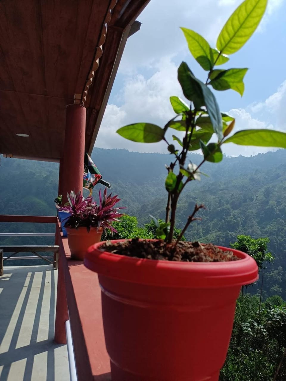 Damphu Homestay Vacation rental in West Bengal