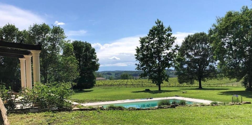 Garden, Garden, Swimming pool, Swimming pool