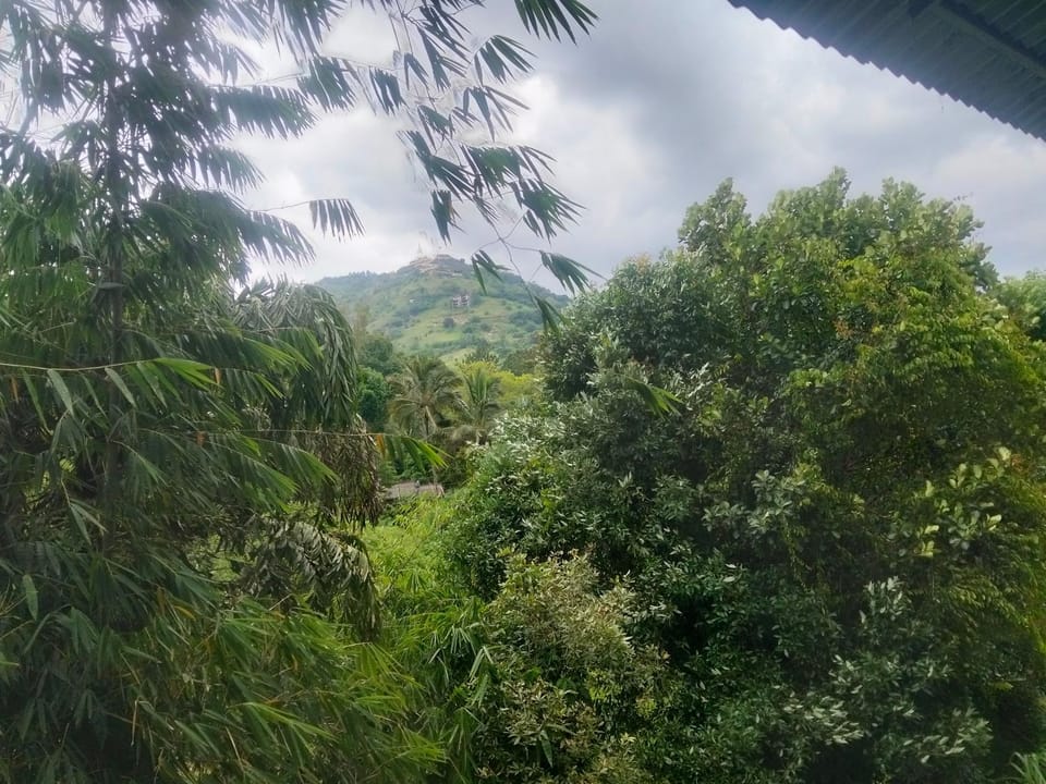 Friendship Villa-Ella Bed and Breakfast in Dambulla