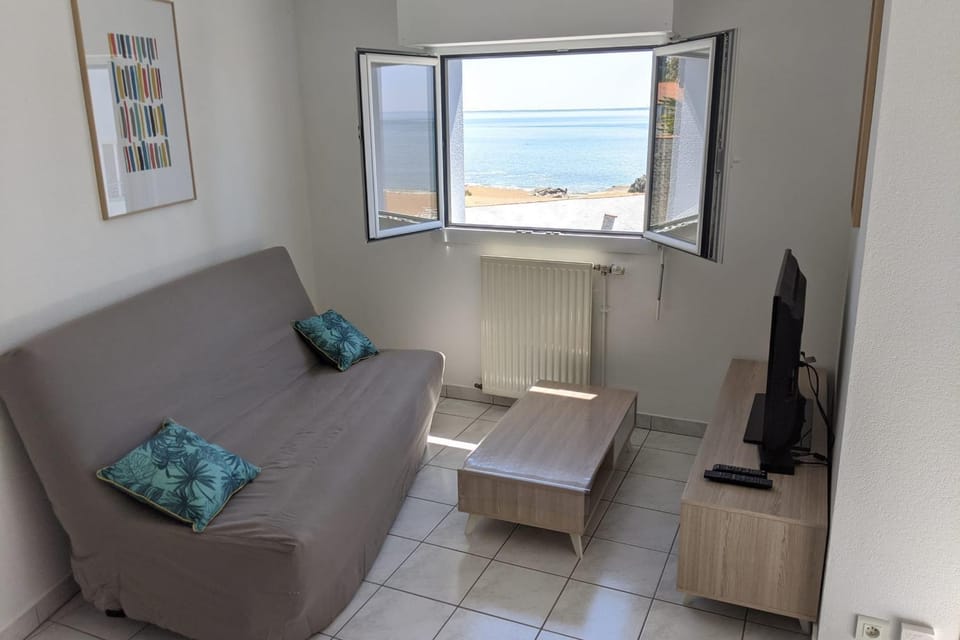 Sea View with beach at 20m Saint-Marc-sur-Mer Apartment in Saint-Nazaire