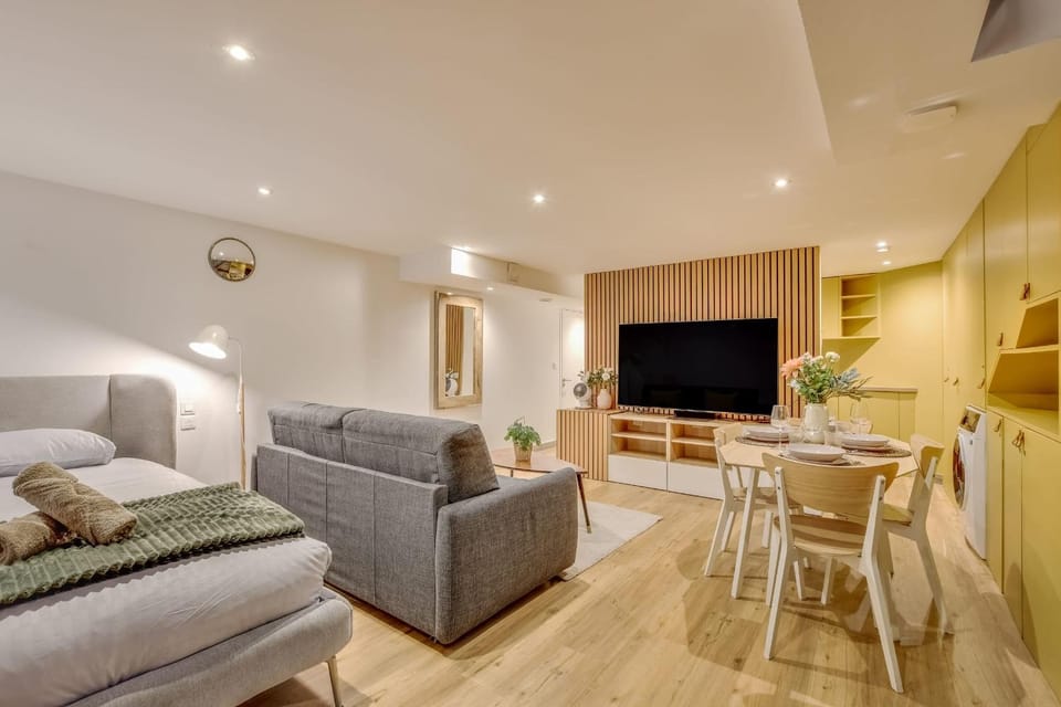 Basement studio- Montparnasse Station Apartment in Paris