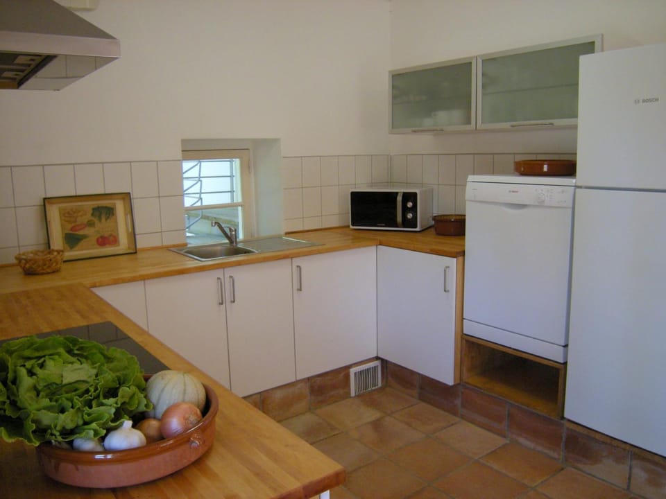 Kitchen or kitchenette, dishwasher, oven, stove