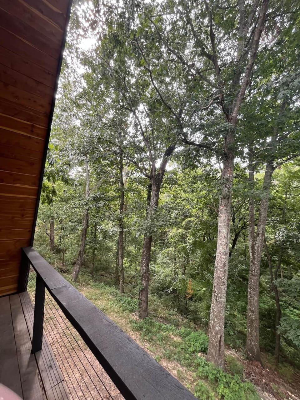 Post Oak Perch-Cozy Forest A-frame Near Bentonville House in Rogers