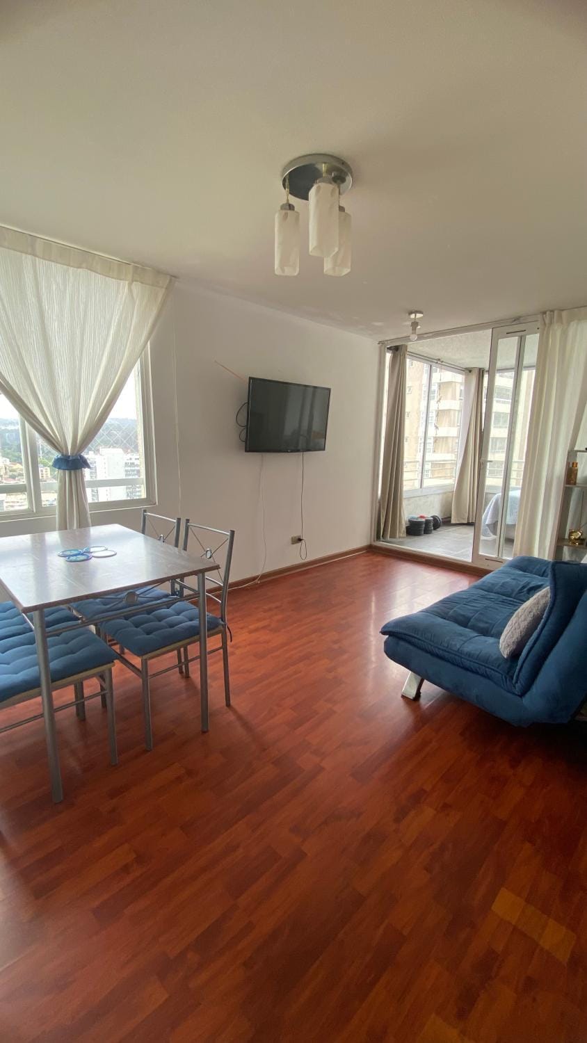 Viña Centro Apartment Apartment in Vina del Mar