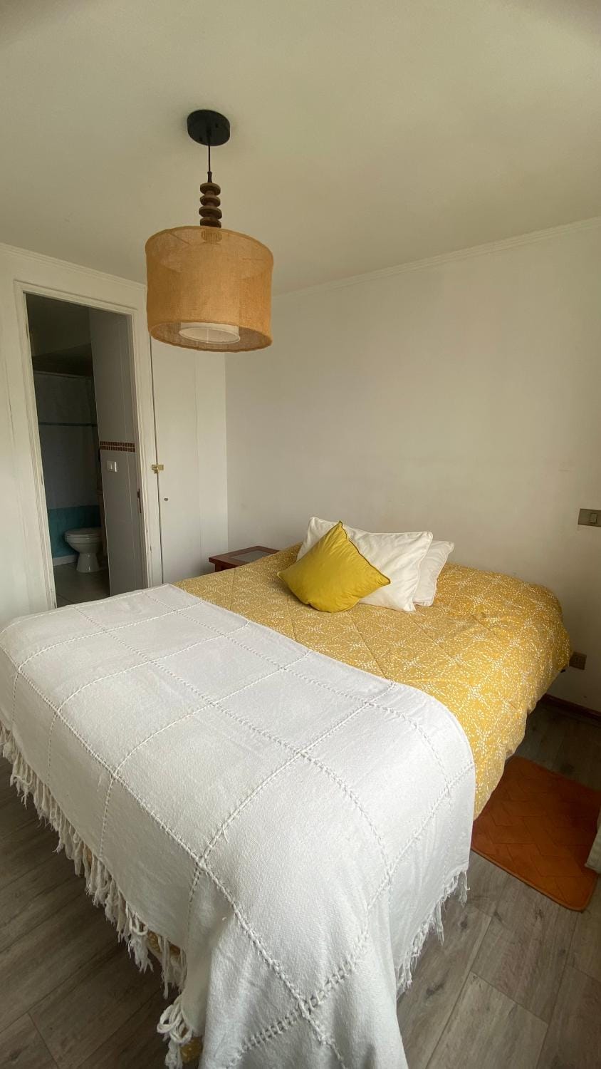 Viña Centro Apartment Apartment in Vina del Mar