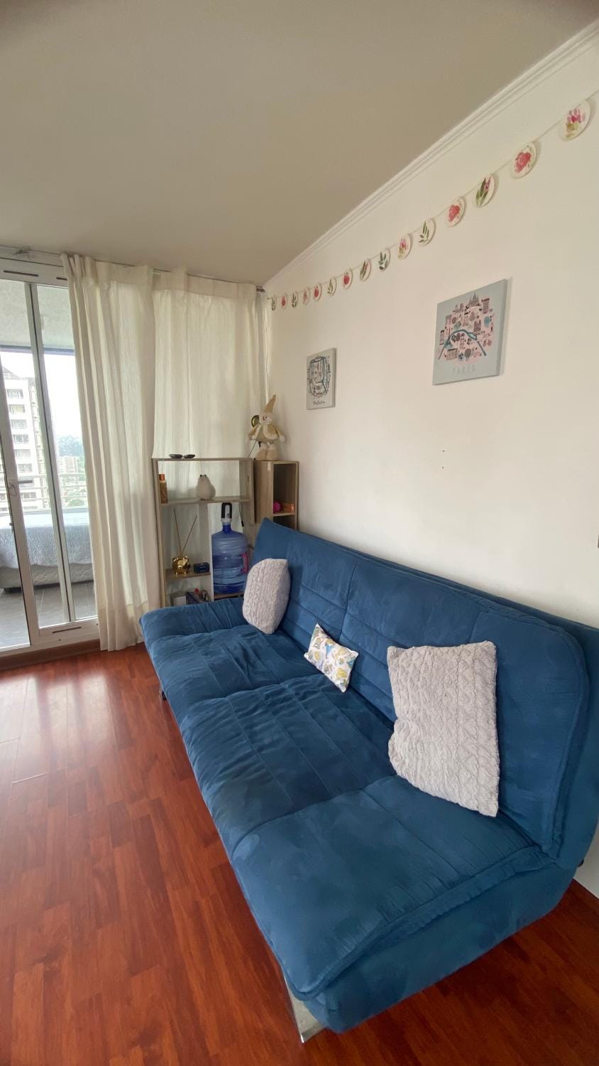 Viña Centro Apartment Apartment in Vina del Mar
