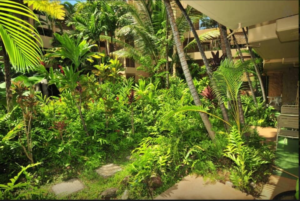 Natural landscape, Garden, Garden view