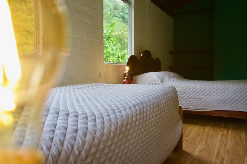 Bed, Bedroom