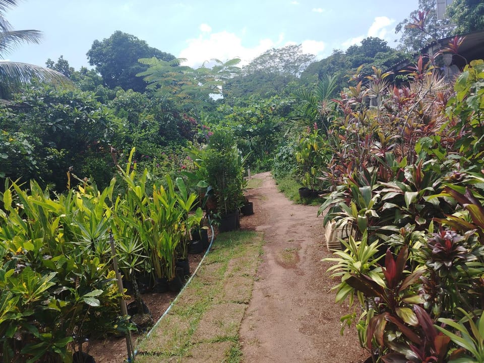 Chalés da Branca Nature lodge in São Sebastião