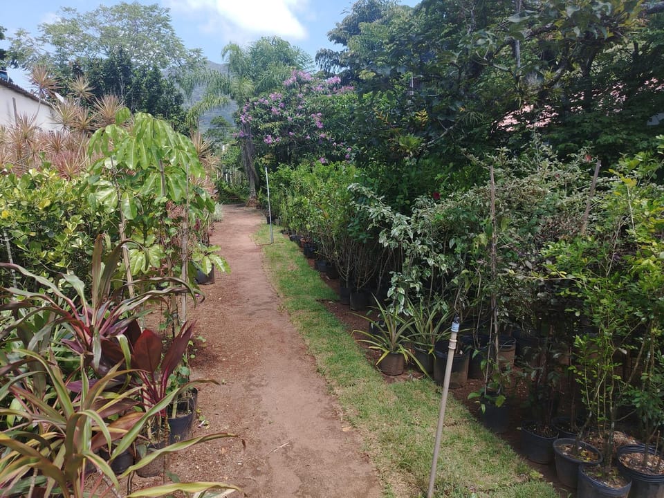 Chalés da Branca Nature lodge in São Sebastião