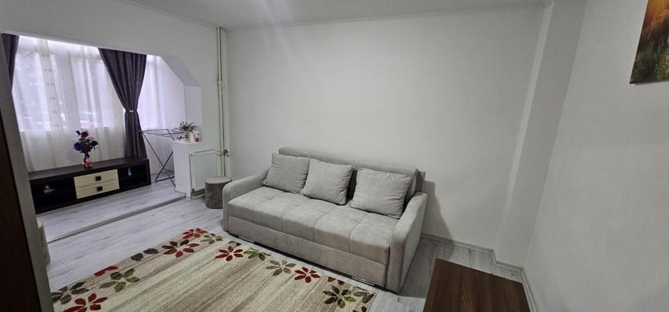 Apartament Daniela Apartment in Romania