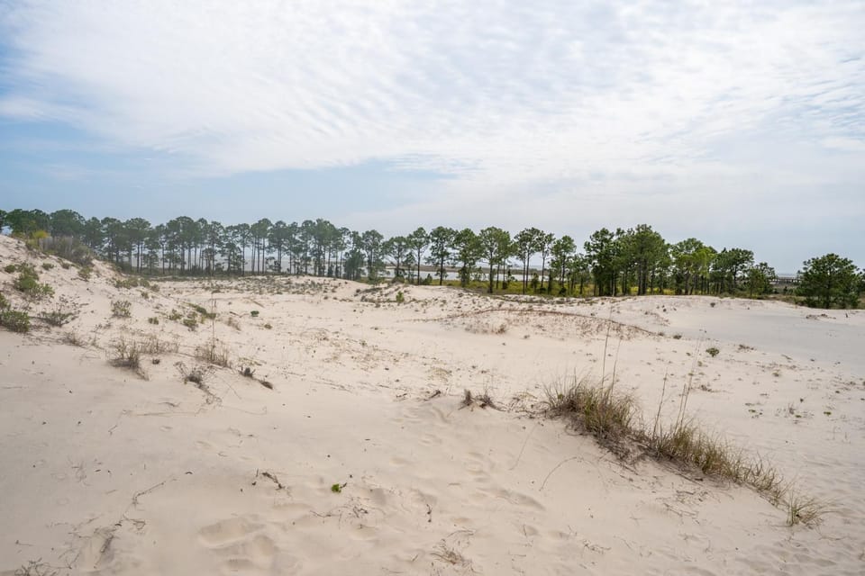 Blue Haven - 1414 Oleander House in Dauphin Island