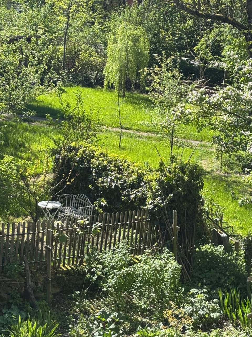 View (from property/room)