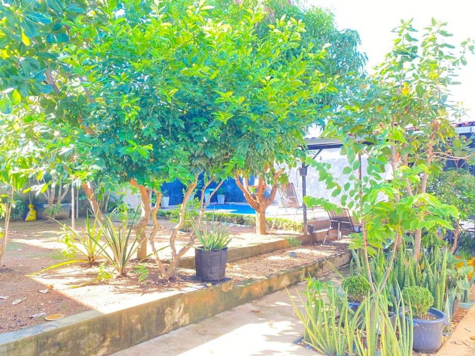 Natural landscape, Garden