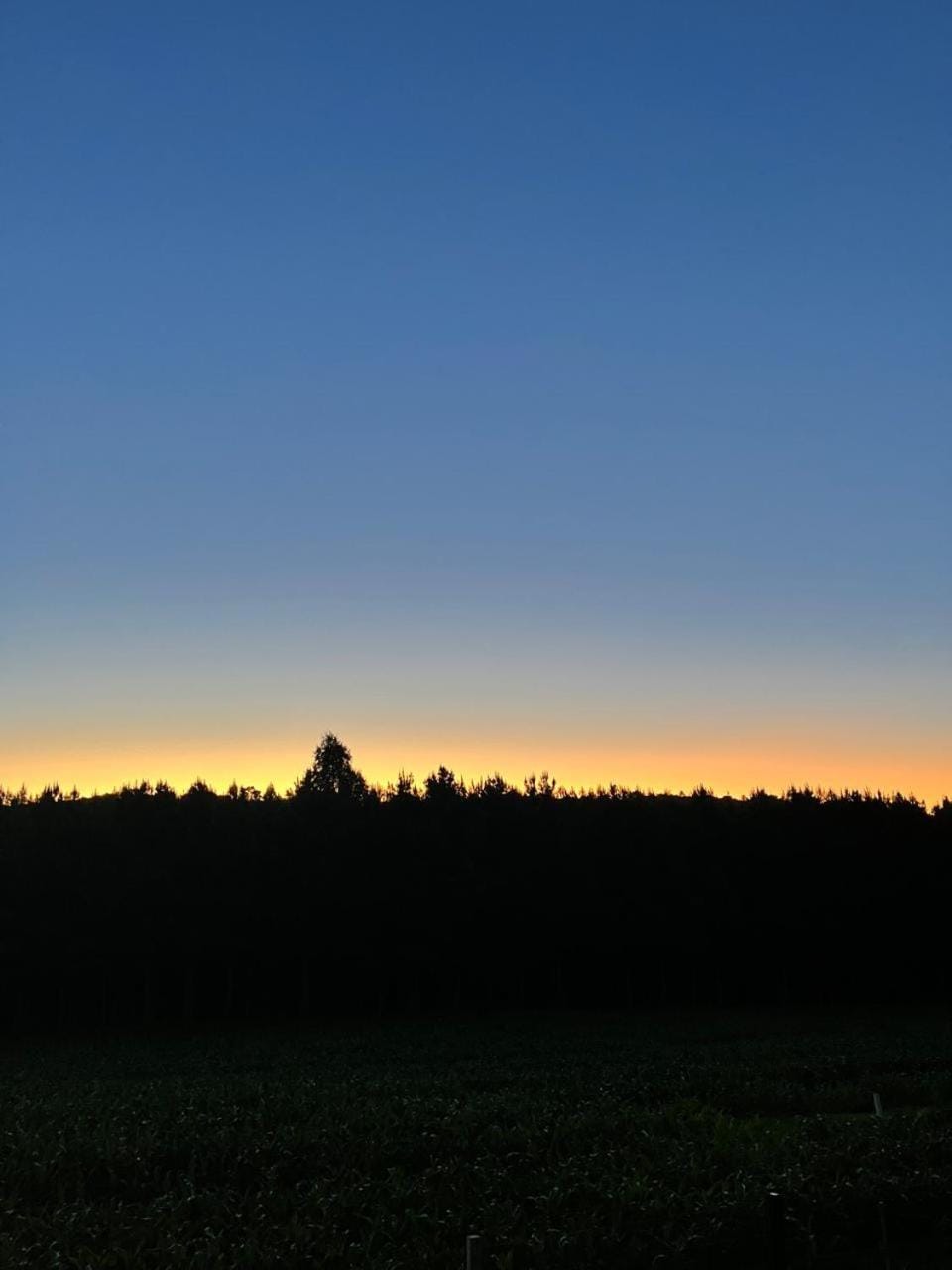 Chalé copo de leite Campground/ 
RV Resort in State of Santa Catarina