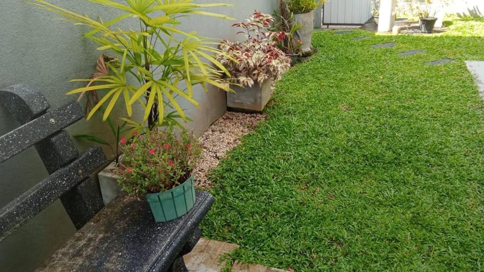 Green & Gray Inn Apartment in Galle