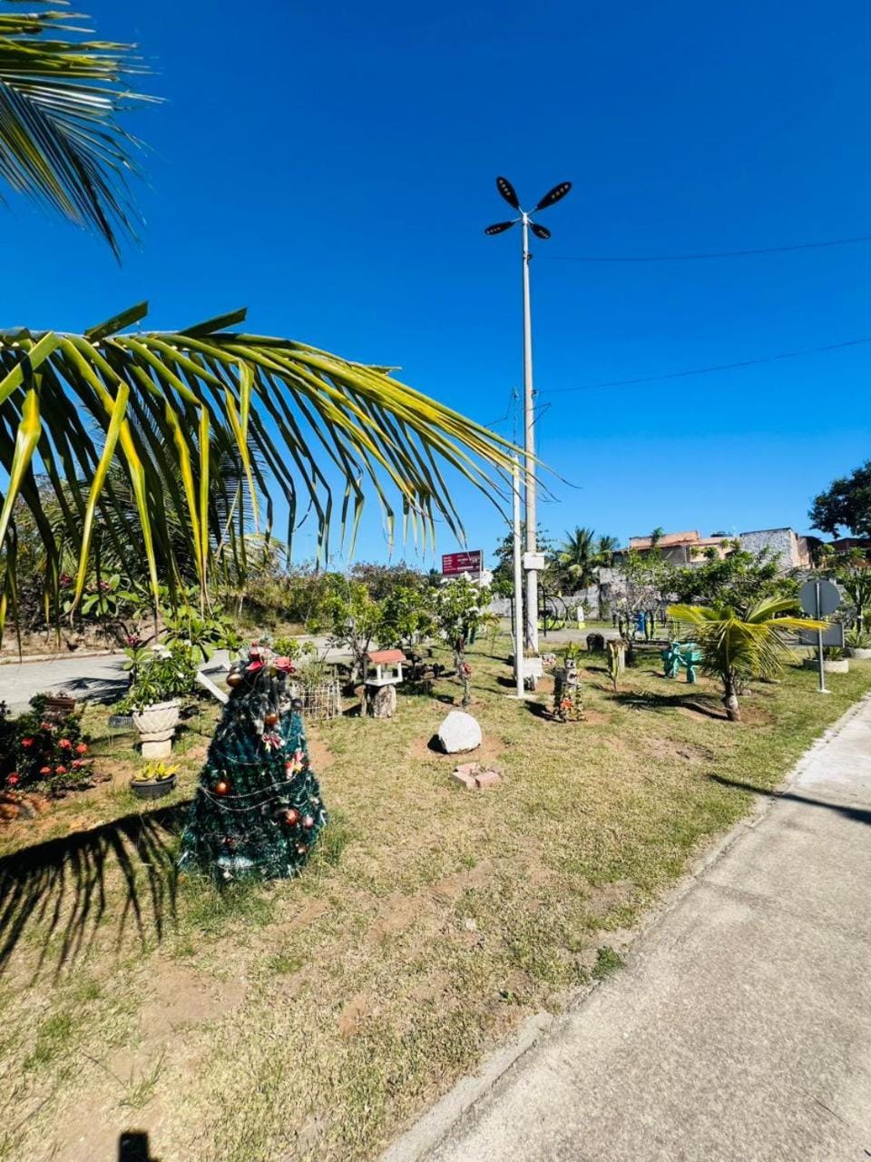 Garden view