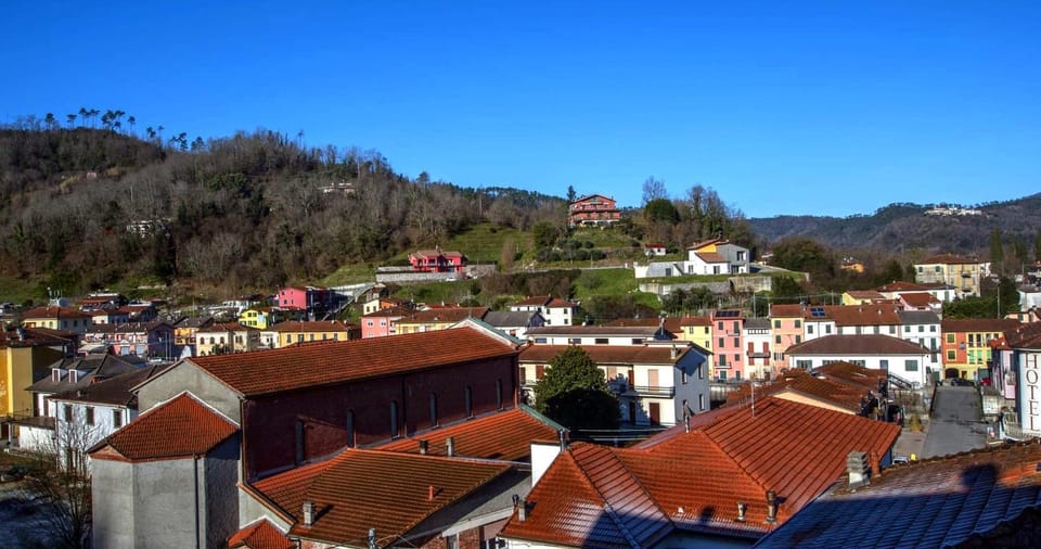 Property building, Neighbourhood, Natural landscape, Street view