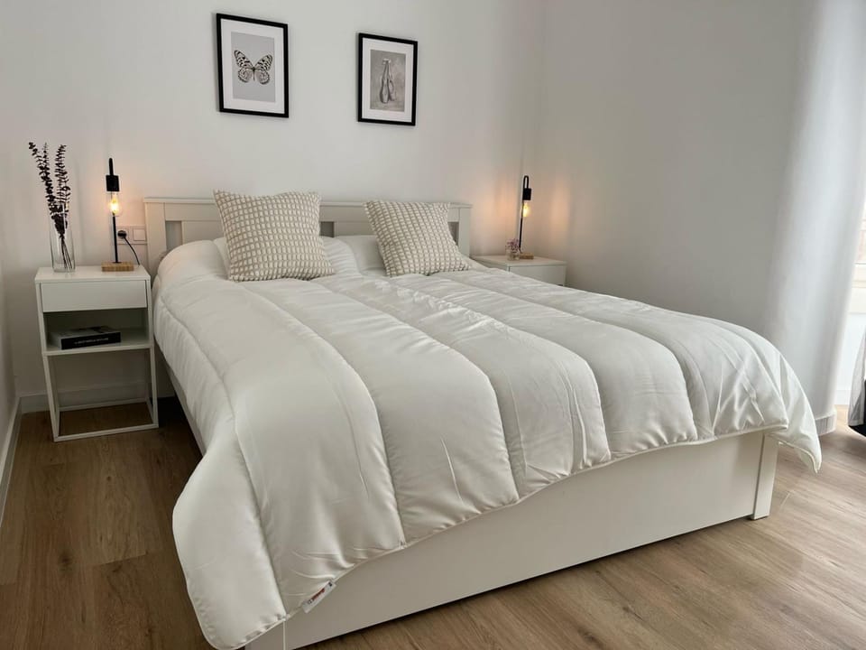 Gran apartamento Larios Apartment in Malaga
