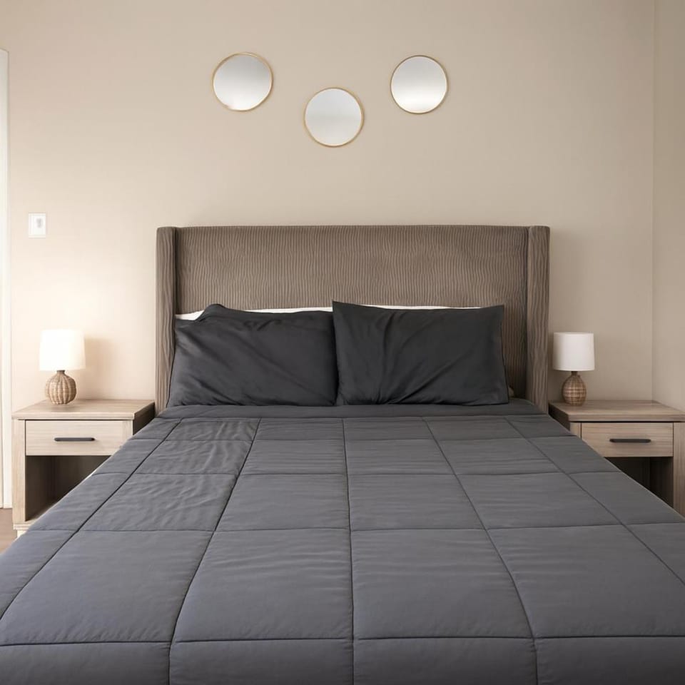 Fast Wi-Fi 1BR Apartment Near Airport Apartment in Glenview