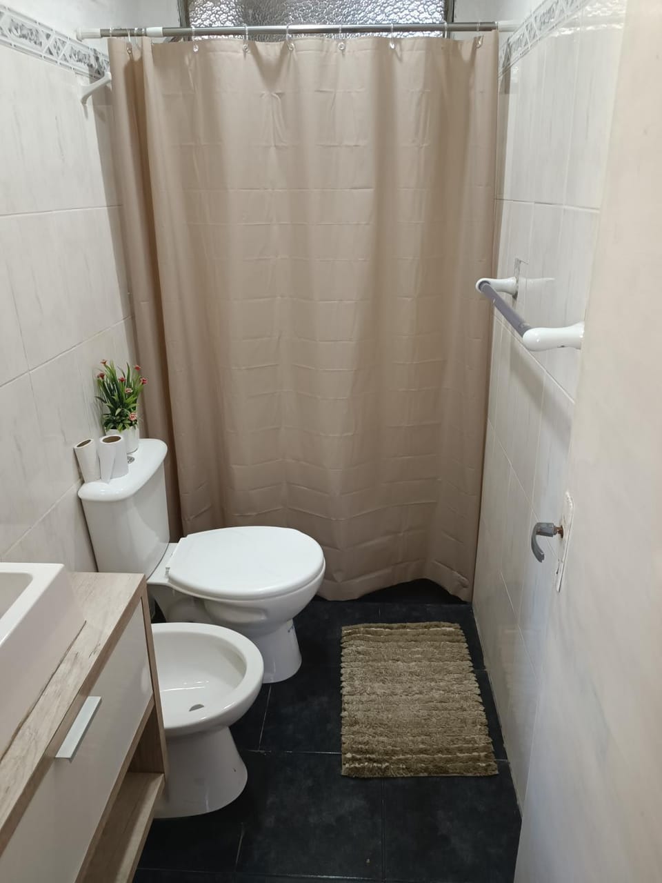 Shower, Toilet, Bathroom, bidet