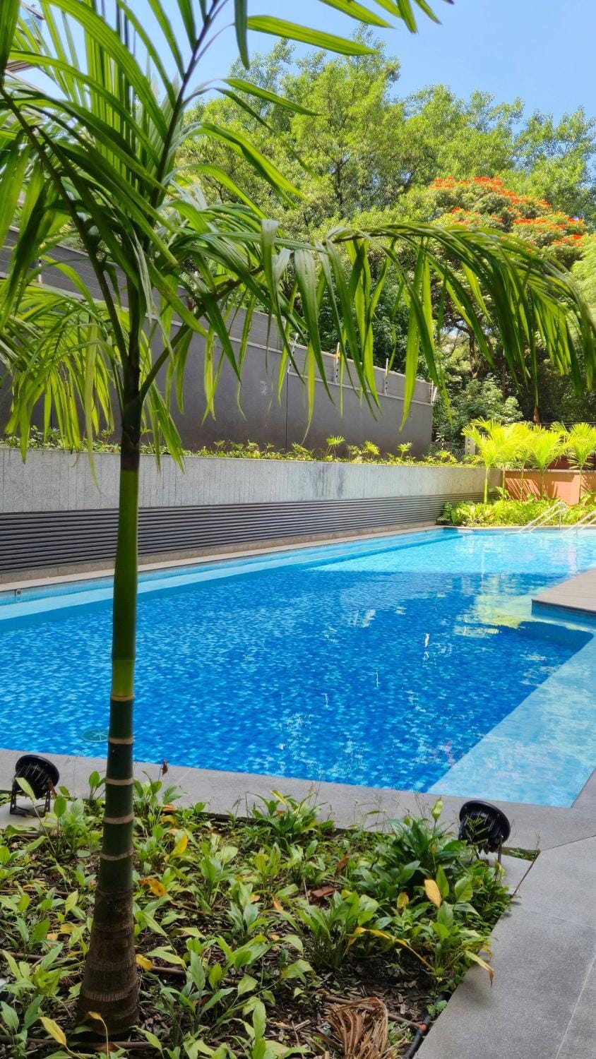 Pool view, Swimming pool, Swimming pool