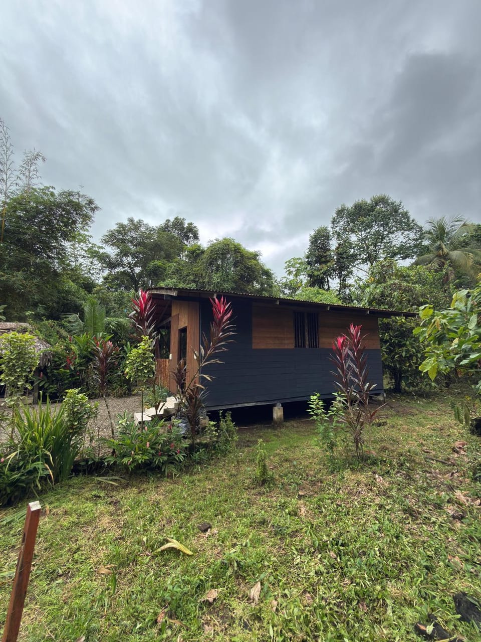 Property building, Natural landscape, Garden view