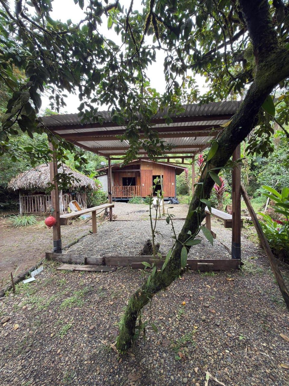 Natural landscape, Garden, Garden view