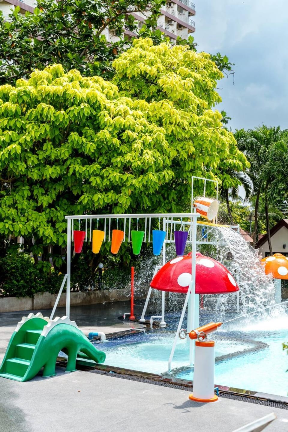 Aqua park, Swimming pool