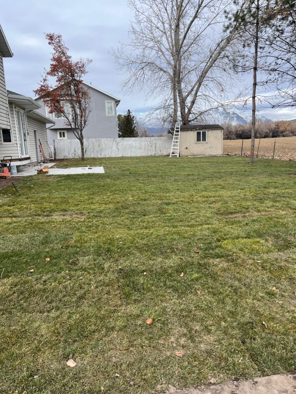Garden view