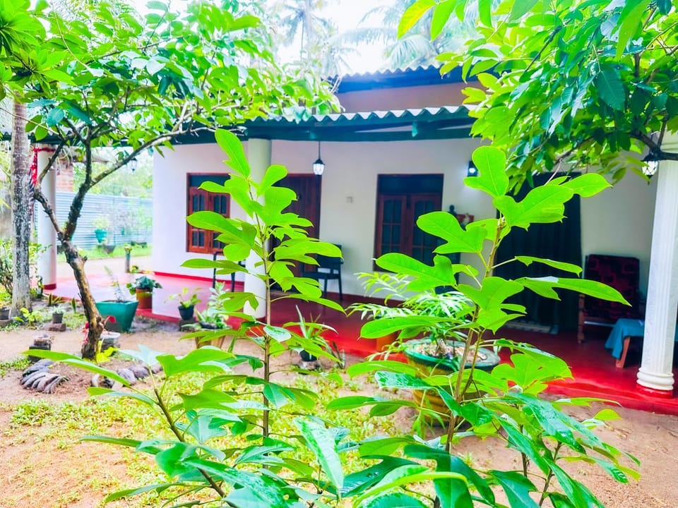 Property building, Spring, Day, Garden view