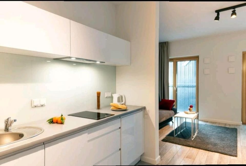 Kitchen or kitchenette, Photo of the whole room, stove
