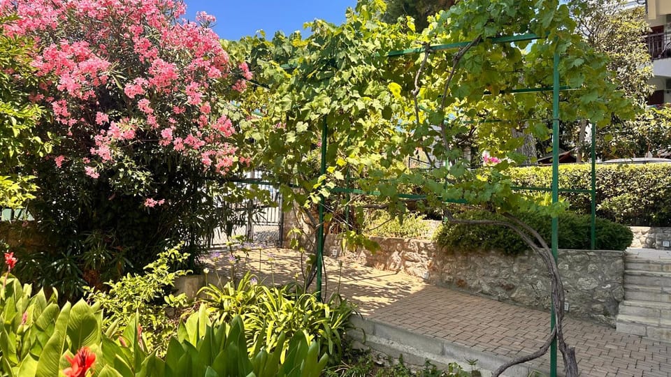 Spring, Parking