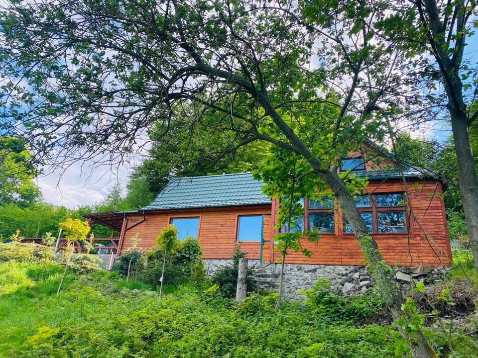 Pod Srebrzystym Świerkiem - Jacuzzi House in Poland