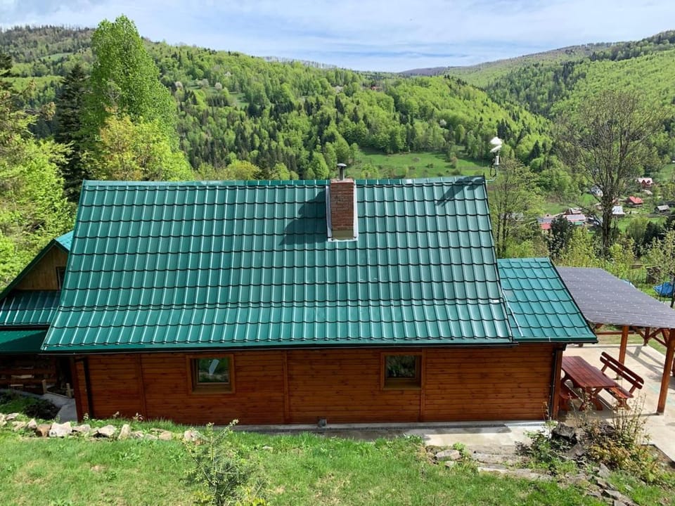 Pod Srebrzystym Świerkiem - Jacuzzi House in Poland