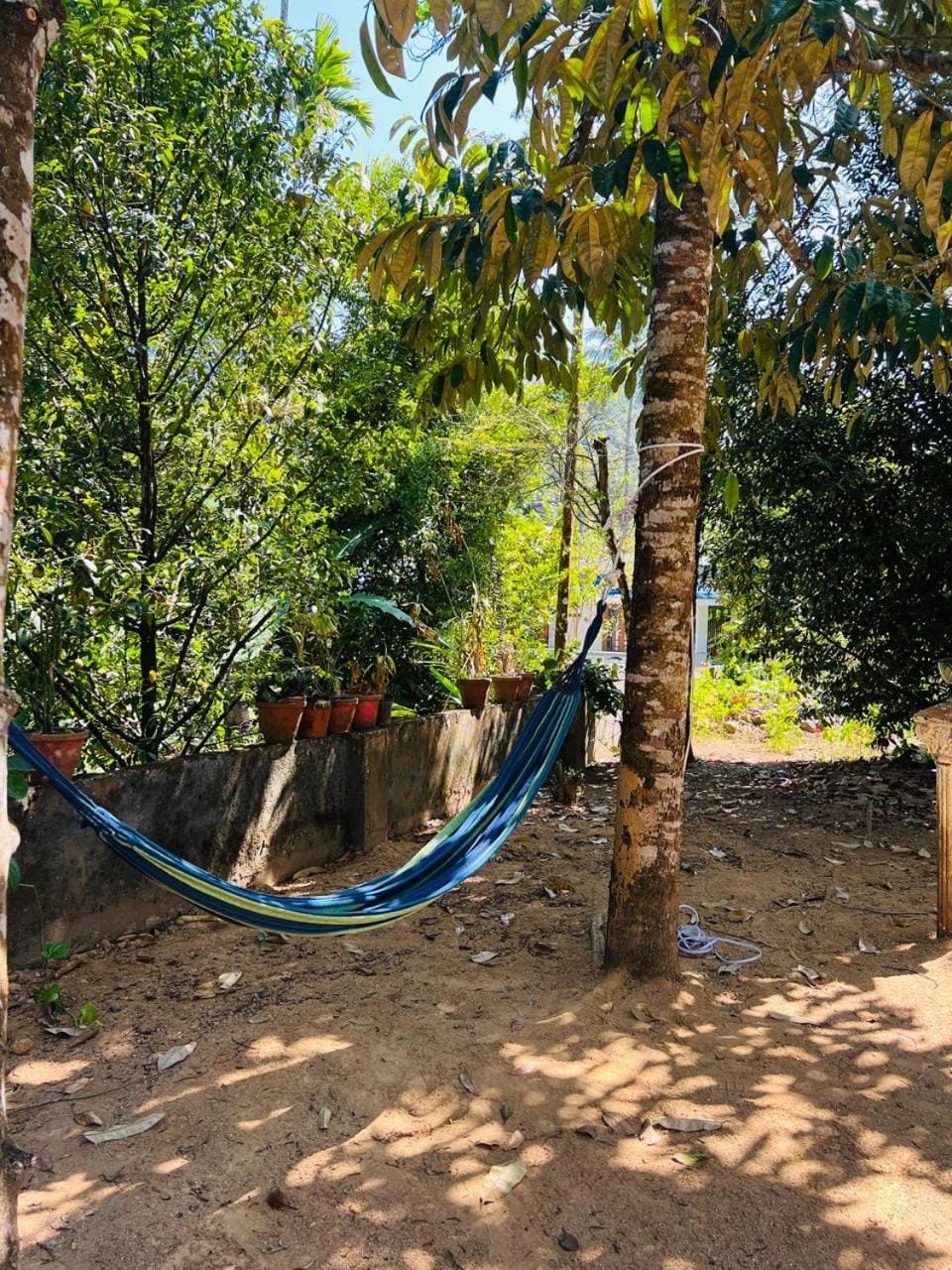 Anugraha Homestay Munnar House in Kerala