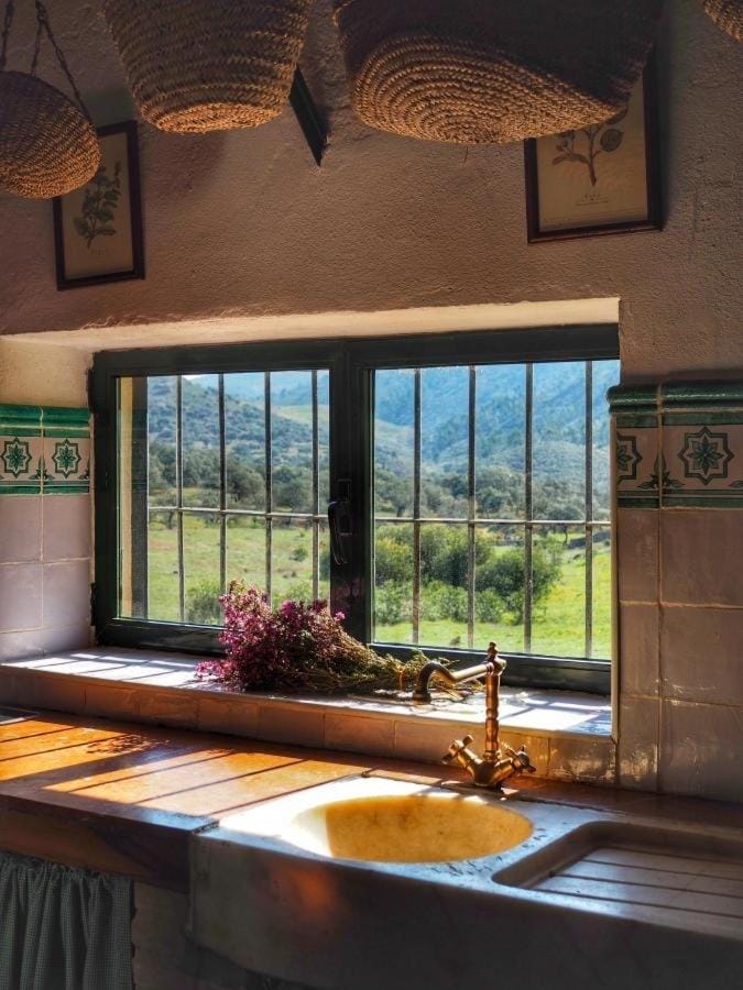 Natural landscape, Kitchen or kitchenette