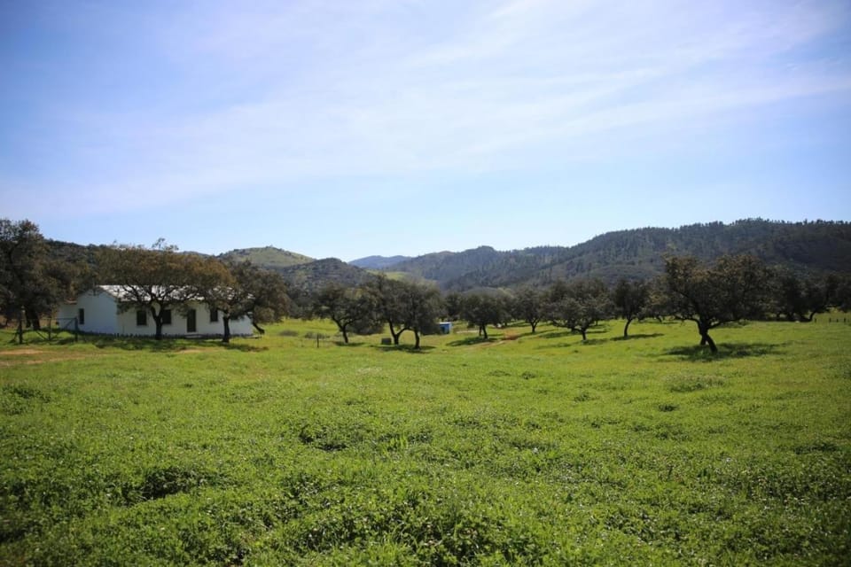 Spring, Day, Natural landscape, Garden, Mountain view