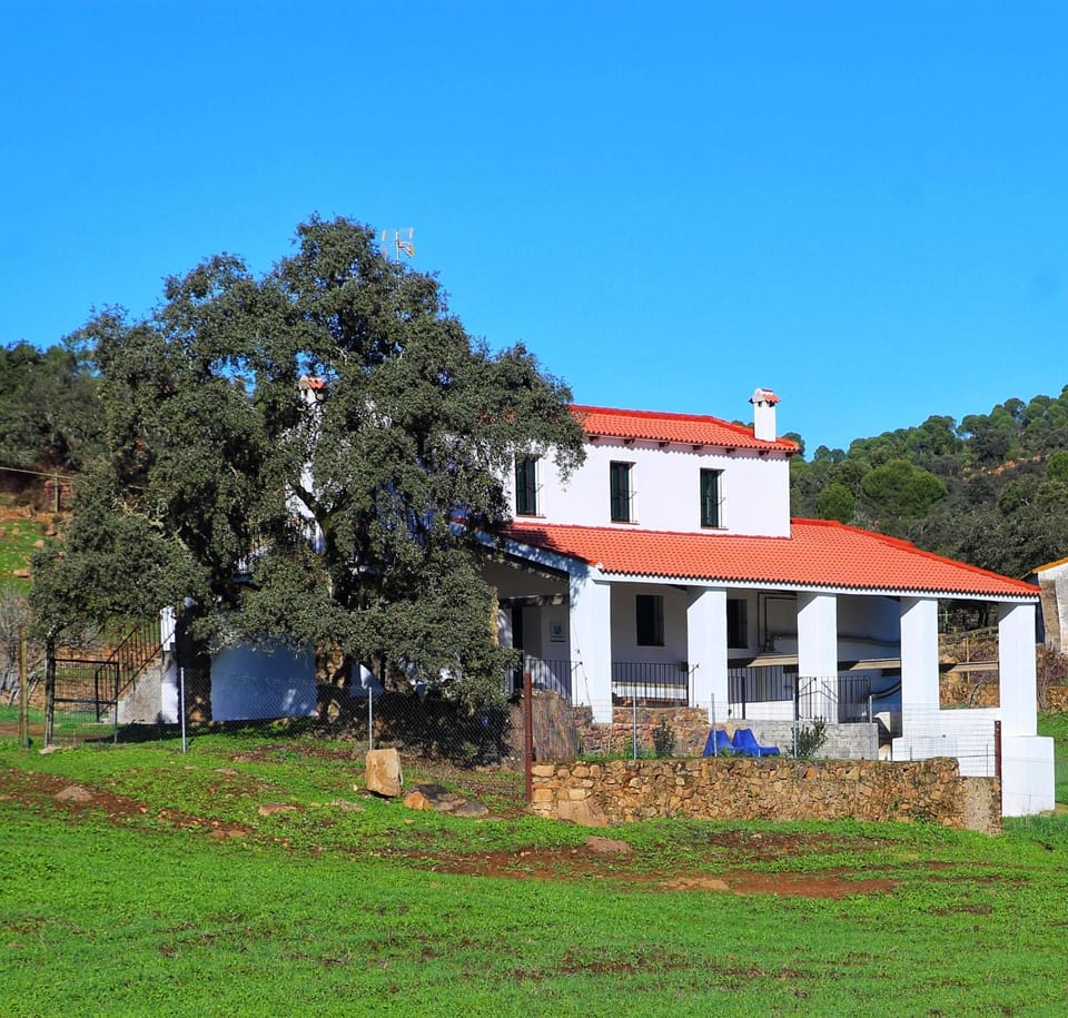 Property building, Natural landscape, Garden