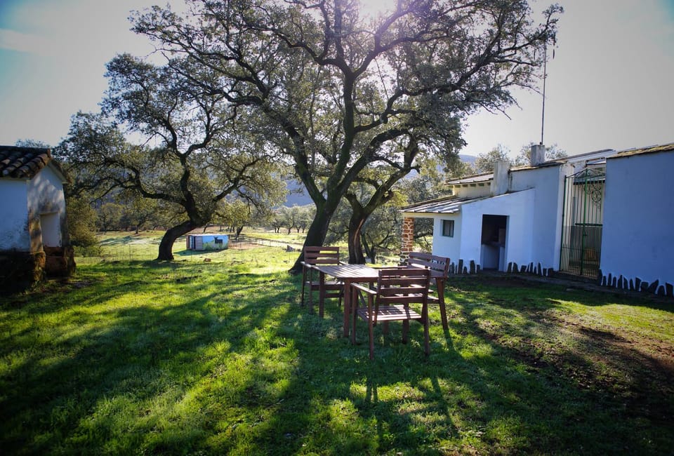 Property building, Spring, Natural landscape, Garden, Garden view